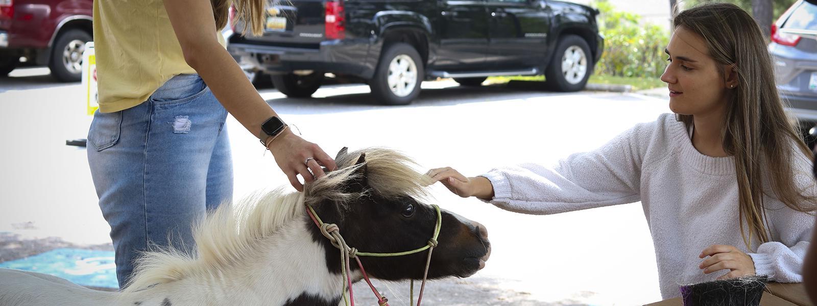 Nursing student Vanessa Smith makes a new friend at the petting zoo. (Photo by Jonathan McGaha, CIU student photographer)